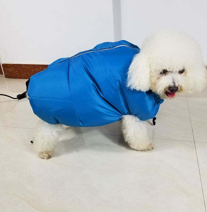 pet drying box for post-bath care