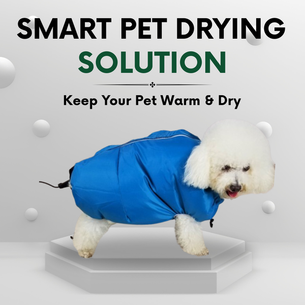 Pet Supplies