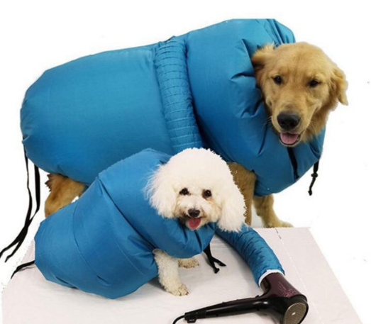 pet drying box for post-bath care